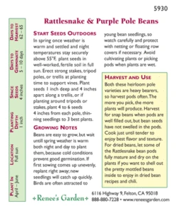 Renee's Garden Bean Pole Rattlesnake Ice & Purple Pod (Heirloom) -JulboCorona Trees Store 4176 pb
