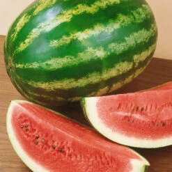 Crimson Sweet Watermelon Seeds (Organic) -JulboCorona Trees Store 440 watermelon crimson sweet web