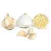 Organic Garlic, Inchelium Red (lb) -JulboCorona Trees Store FP572 web1
