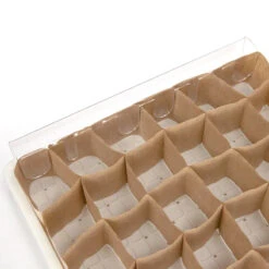 Paper Pot Kit For Seed Starting 9 Paper Pot Kit For Seed Starting -JulboCorona Trees Store GPK061 web2 2a34342a e55c 48b5 a19e 926e59c9cadf