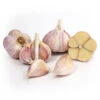 Organic Garlic, German White (lb) -JulboCorona Trees Store Organic German White Garlic