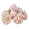 Organic Garlic, Red Chesnok (lb) -JulboCorona Trees Store Organic Red Chesnok Garlic