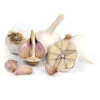 Organic Garlic, Spanish Roja (1/2 Lb) 2 Organic Garlic, Spanish Roja (1/2 Lb) -JulboCorona Trees Store Organic Spanish Roja Garlic 20311d2e 235c 4c12 9660 8da9e2d228c1