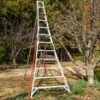 Aluminum Orchard Ladder (12') -JulboCorona Trees Store aluminum orchard ladder 12