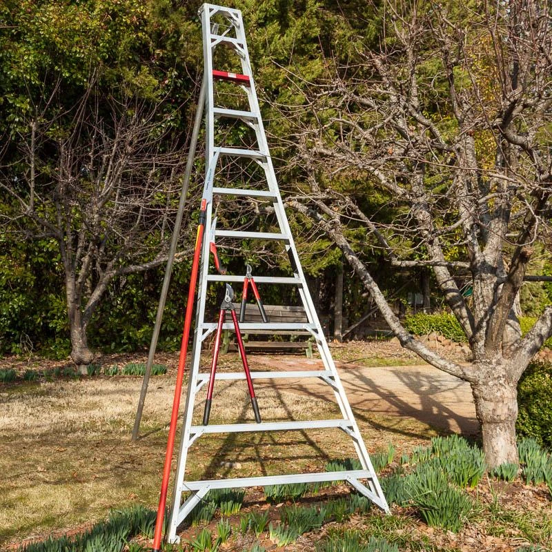 Aluminum Orchard Ladder (12') 3 Aluminum Orchard Ladder (12')