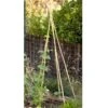 Bamboo Stakes - 10' (Pack Of 10) -JulboCorona Trees Store bamboo stakes 10 pack of 10