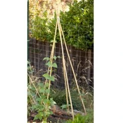 Bamboo Stakes - 10' (Pack Of 10)