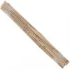 Bamboo Stakes - 2' (Pack Of 50) -JulboCorona Trees Store bamboo stakes 2 pack of 50