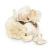 Conventionally Grown Garlic, California Late White (lb) -JulboCorona Trees Store conventionally grown garlic california late white lb