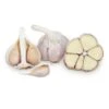 Conventionally Grown Garlic, Metechi (lb) -JulboCorona Trees Store conventionally grown garlic metechi lb