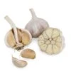 Conventionally Grown Garlic, Purple Italian (lb) -JulboCorona Trees Store conventionally grown garlic purple italian lb