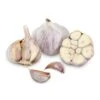 Conventionally Grown Garlic, Siberian (lb) -JulboCorona Trees Store conventionally grown garlic siberian lb