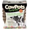 CowPots - 4" Square (Pack Of 12) -JulboCorona Trees Store cowpots 4 square pack of 12