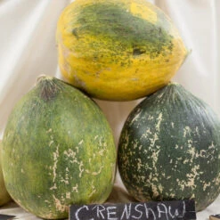 Crenshaw Melon Seeds (Organic) -JulboCorona Trees Store expo 0150 1