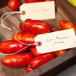 San Marzano Tomato Seeds (Organic) -JulboCorona Trees Store expo 0300 3 2