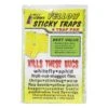 Pest Wizard Yellow Sticky Card Trap, Large 4-Pack -JulboCorona Trees Store fly and bug sticky yellow trap 4 pack
