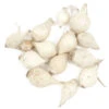 Onion Sets Dutch - White Snowball (Pack Of 75) -JulboCorona Trees Store fp075 web 97a4842e 2be0 437b 9557 309bd7e77a5c