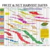 Fruit Tree Harvest Chart -JulboCorona Trees Store fruit tree harvest chart