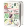 Gift Seed Tin - Sun Splash Collection -JulboCorona Trees Store gift seed tin sun splash collection