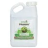 Humax (Gallon) -JulboCorona Trees Store humax gallon