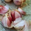 Organic Garlic, Red Italian (lb) -JulboCorona Trees Store italian red garlic