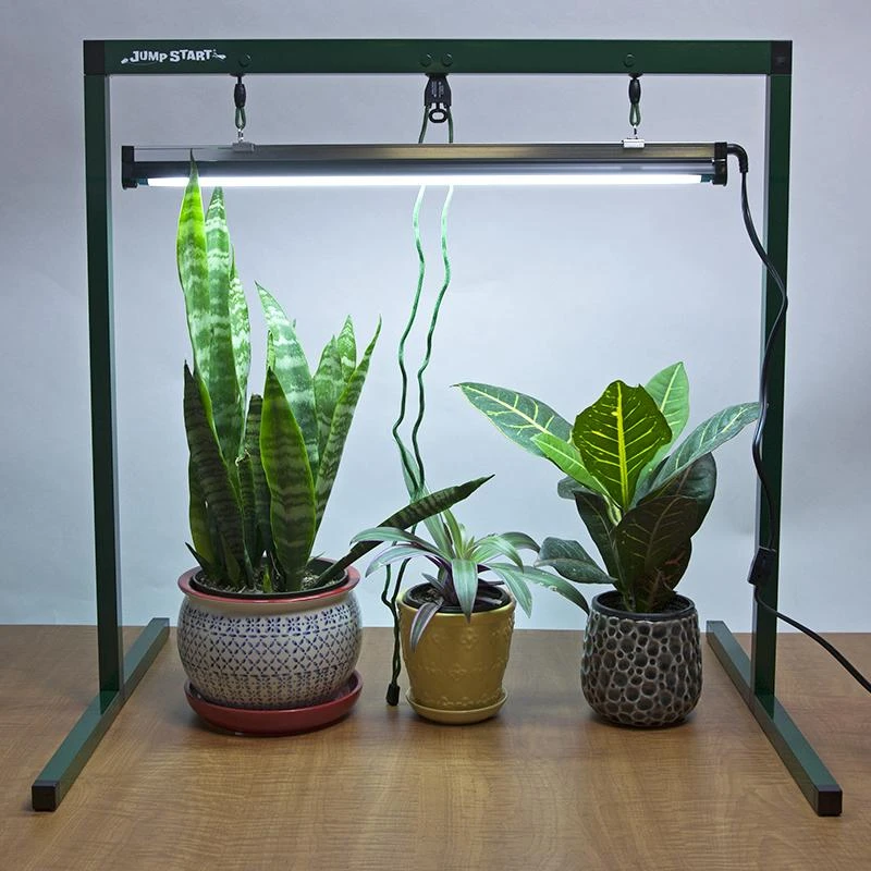 Jump Start 2-Foot Light System With One Lamp 3 Jump Start 2-Foot Light System With One Lamp