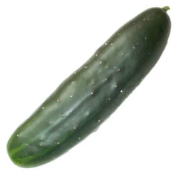 Marketmore 76 Cucumber Seeds (Organic) -JulboCorona Trees Store marketmore web