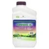 Ecoworks EC (32 Ounce) (OID DUAL) -JulboCorona Trees Store oid dual ecoworks ec 32 oz