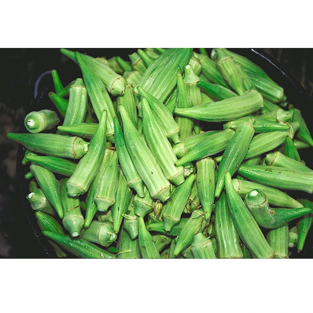 Clemson Spineless 80 Okra Seeds (Organic) 4 Clemson Spineless 80 Okra Seeds (Organic) - Image 2