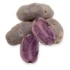 Fall-Planted Organic All Blue Seed Potatoes (lb) -JulboCorona Trees Store organic all blue seed potatoes lb