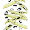 Organic Bean, Bush Orca (1/2 Lb) -JulboCorona Trees Store organic bean bush orca 1 2 lb