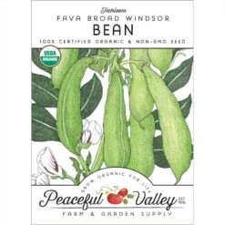 Broad Windsor Fava Bean Seeds (Organic)