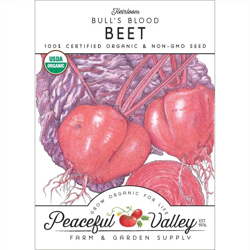Bull's Blood Beet Seeds (Organic) 3 Bull's Blood Beet Seeds (Organic)