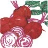 Organic Beet, Chioggia (1/4 Lb) -JulboCorona Trees Store organic beet chioggia 1 4 lb