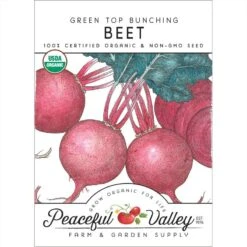 Green Top Bunching Beet Seeds (Organic)
