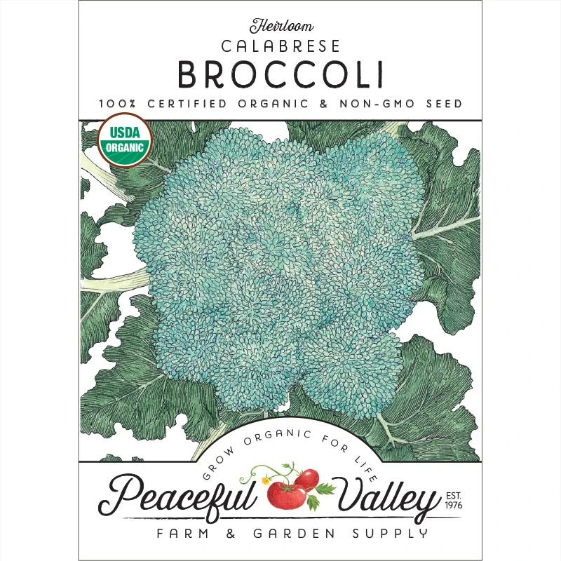 Calabrese Broccoli Seeds (Organic) 3 Calabrese Broccoli Seeds (Organic)