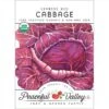 Express Red Cabbage Seeds (Organic) -JulboCorona Trees Store organic cabbage express red