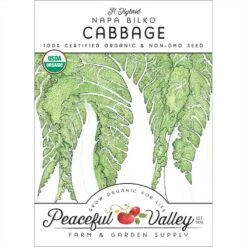 Napa Bilko Cabbage Seeds (Organic)