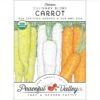 Culinary Mix Carrot Seeds (Organic) -JulboCorona Trees Store organic carrot culinary mix