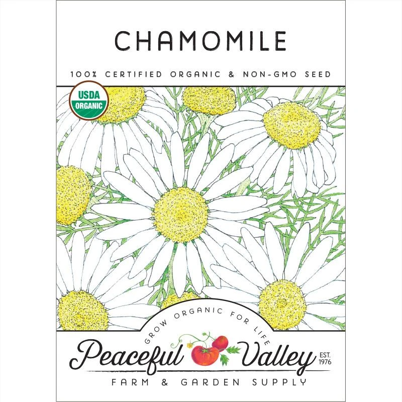 Organic Chamomile 3 Organic Chamomile