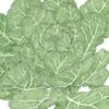 Organic Collard Greens, Champion (1 Oz) -JulboCorona Trees Store organic collard greens champion 1 oz
