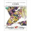 Cherokee Long Ear Popcorn Corn Seeds (Organic) -JulboCorona Trees Store organic corn cherokee long ear popcorn