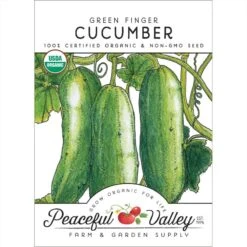 Green Finger Cucumber Seeds (Organic)