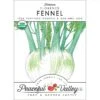 Florence Fennel Seeds (Organic) -JulboCorona Trees Store organic fennel florence