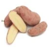 Fall-Planted Organic French Fingerling Seed Potatoes (lb) -JulboCorona Trees Store organic french fingerling seed potatoes lb