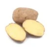 Fall-Planted Organic German Butterball Seed Potatoes (lb) -JulboCorona Trees Store organic german butterball seed potatoes lb