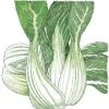 Organic Greens, Pak Choi (1/4 Lb) -JulboCorona Trees Store organic greens pak choi 1 4 lb