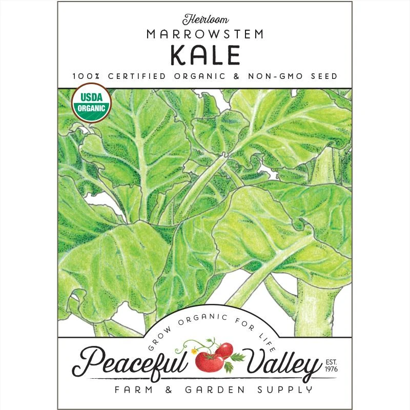 Marrowstem Kale Seeds (Organic) 3 Marrowstem Kale Seeds (Organic)