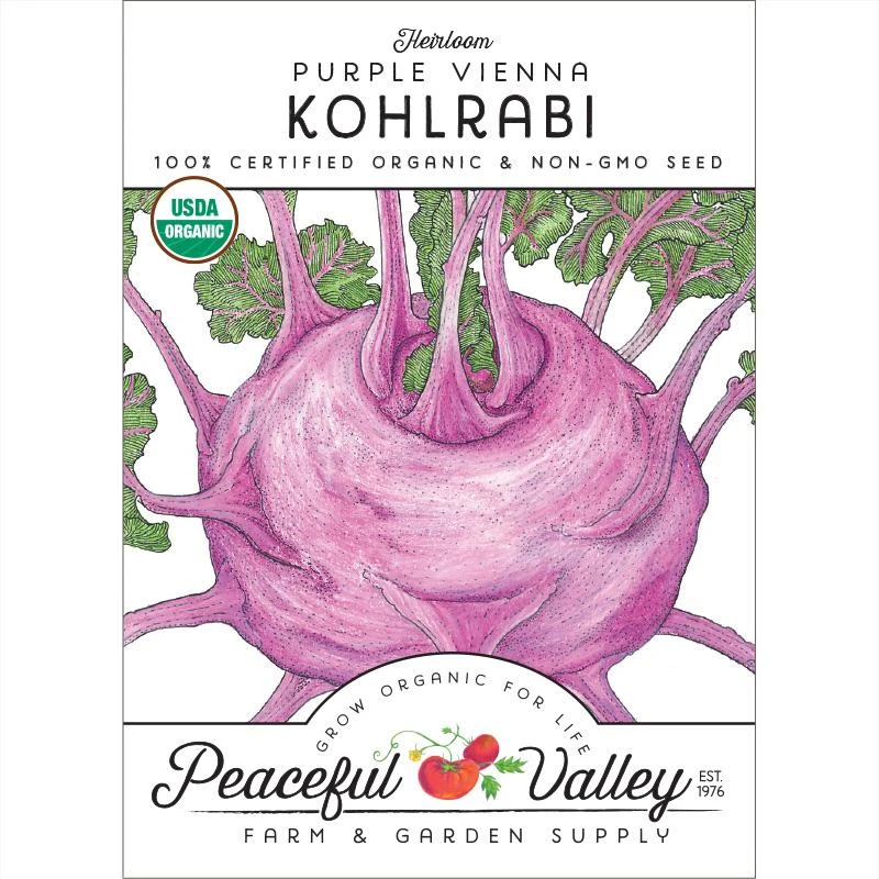 Purple Vienna Kohlrabi Seeds (Organic) 3 Purple Vienna Kohlrabi Seeds (Organic)