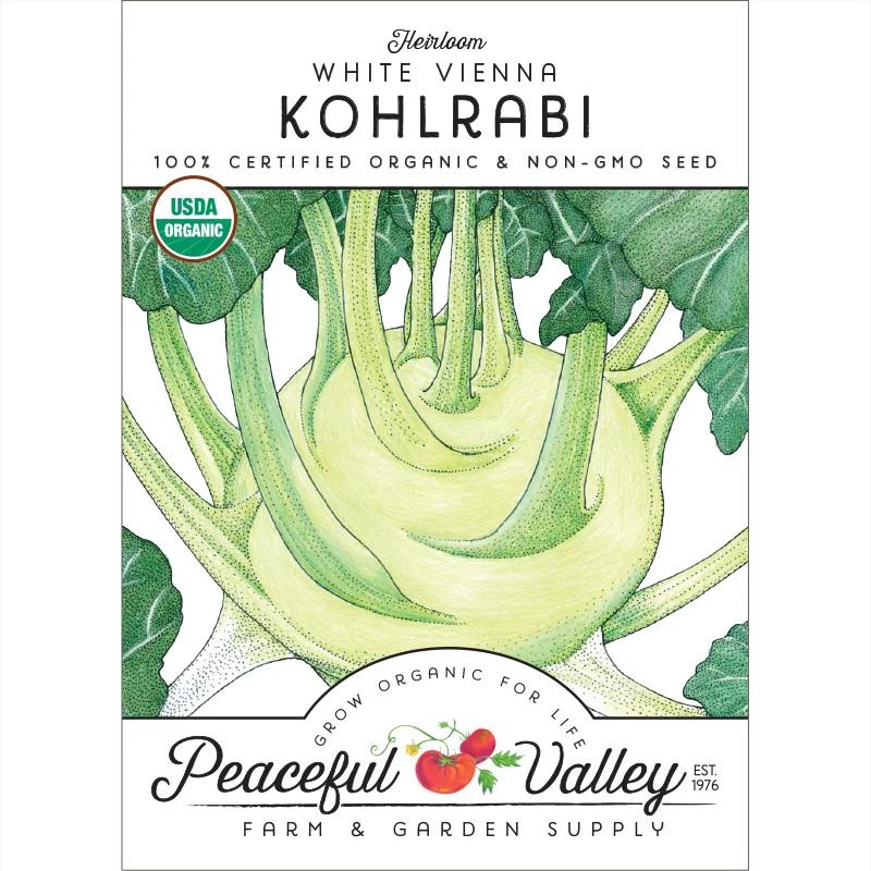 White Vienna Kohlrabi Seeds (Organic) 3 White Vienna Kohlrabi Seeds (Organic)